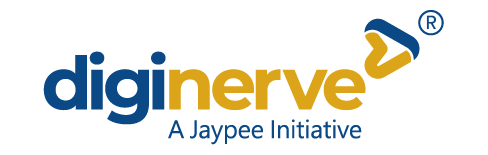 DigiNerve Logo