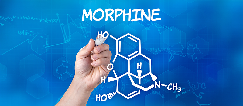 The Use of Morphine in Pain Management